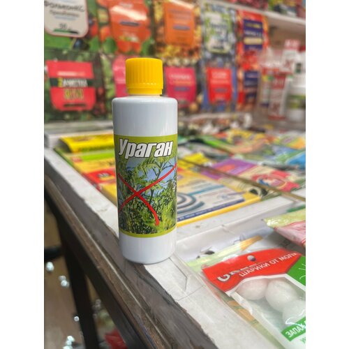 ���������� �������� �� �������� (2 ��.) ������ ����� BP, 540 �/� ��������� ������� 100 ��. (��������������� ����������)