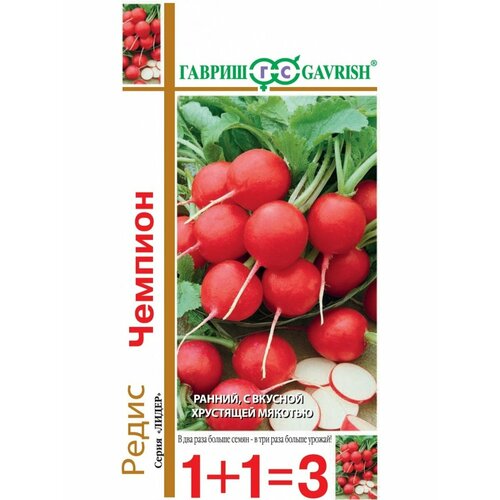 ���������� ������ ����� ������� 5� ������ (������) 1+1