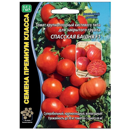 ���������� ������ ��������� ������ ������� ����� �������� ����� F1 10 ��.