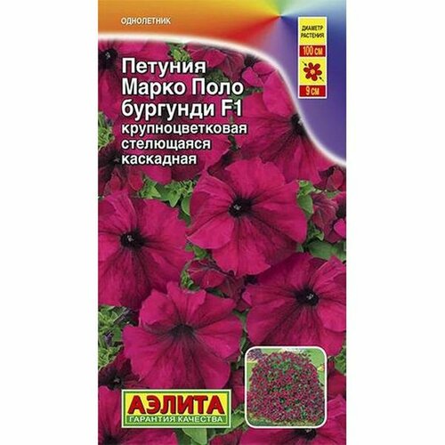 ���������� ������ ������� ����� ���� F1 ��������, ����������, (������) 10��