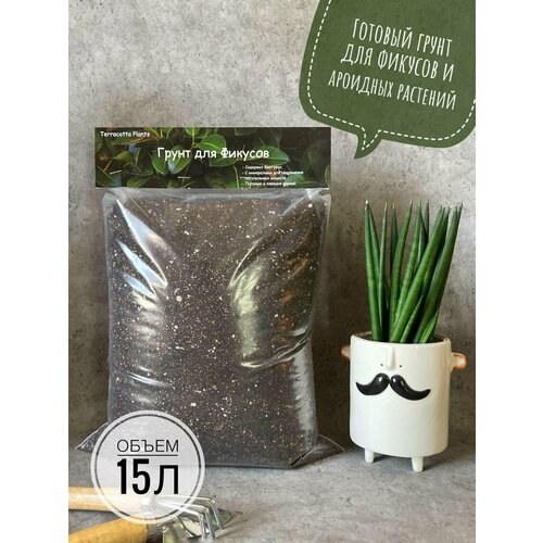 ���������� ������� ����� ��� ������� � �������� �������� Terracotta Plants, 15 ������
