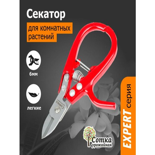 ���������� ������� `��������� ����� �������` ��� ��������� �������� 145 ��