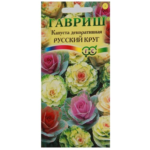 ���������� ������ ������ ������� ������������ ������� ����