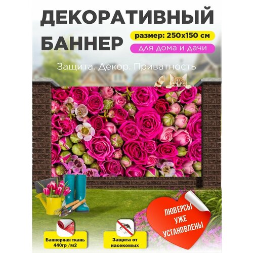 ���������� ��������� ������ �� ����� � ��������� 250�150 ��