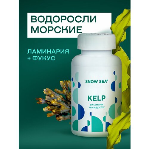 ���������� Kelp ��������� � ��������� (��������� � �����) ��1918, 224 ���.