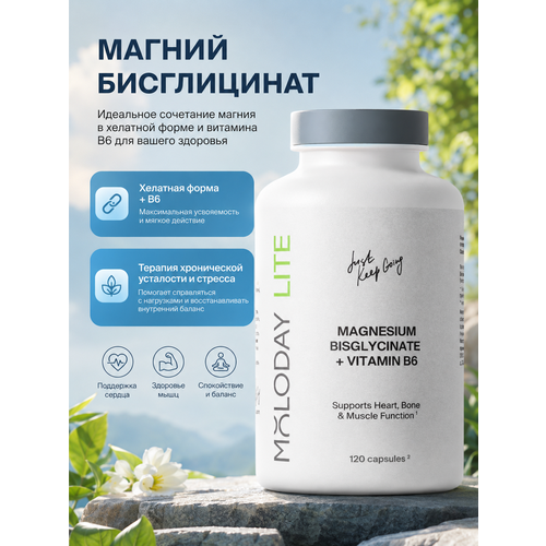 ���������� ������ ����������� �� MOLODAY 