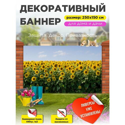 ���������� ��������� ������ �� ����� � ��������� 250�150 ��