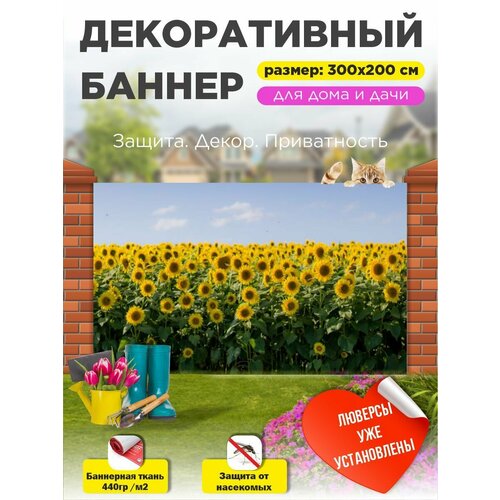 ���������� ��������� ������ �� ����� 300 �� � 200 �� � ���������