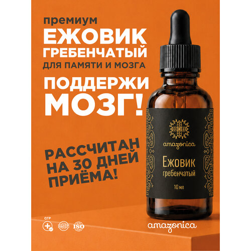 ���������� ������ ����������� � ������ �������� �� ���-����� 10 ��