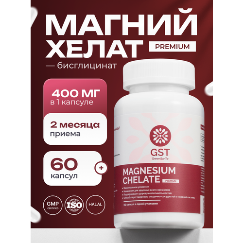 ���������� ������ ����� GST 60 ������