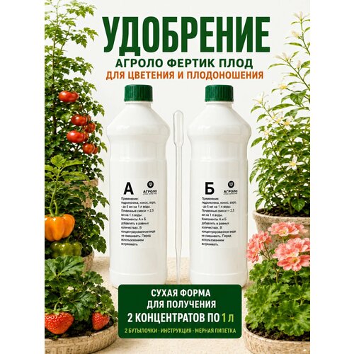 ���������� ��������� ������ ������ ���� A+B ��� �������, �������, ������ � ���������, 2�1 �