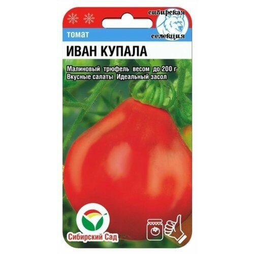 ���������� ������ ����� ���� ������ 20�� ����� (��������� ���)