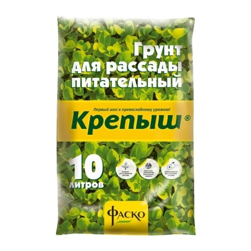 ���������� ����� ����� ������ ��� �������, 10 �