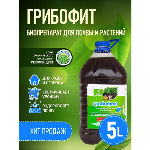 ���������� ����������� ���������� ������, Trichoderma viride �� ��������� �����������, ��������� 