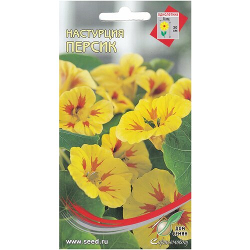 ���������� ��������� ������, 9 �����