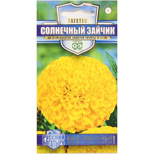 ���������� �������� ������������ ������ ��������� ������, 0.3 ��, ������