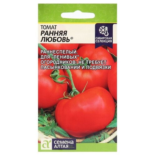 ���������� ������ ����� 