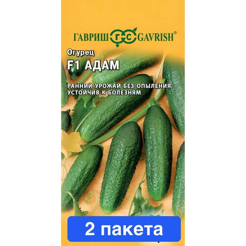 ���������� ������ ������ ������ 