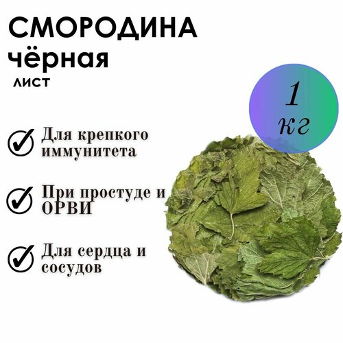 ���������� ��������� 