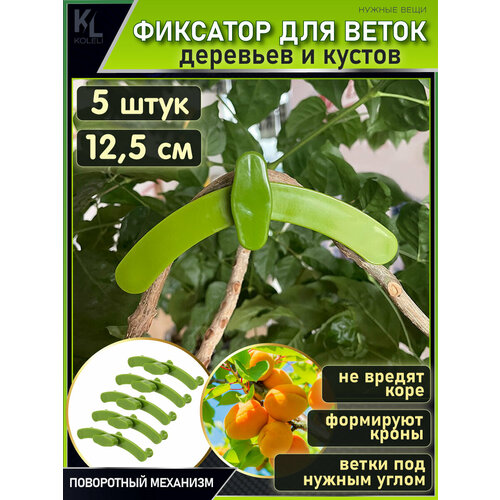 ���������� KoLeli / ���������� ��������� ��� ����� / �������� ��� ��������, ������������� ����� � ������, ��������� / 5 ��