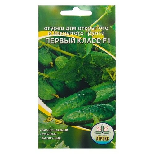 ���������� ������ F1 ������ ����� 10 �� �����