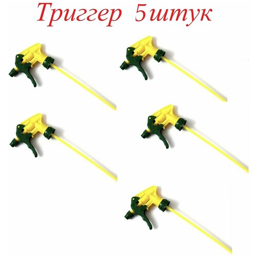 ���������� ����������� �� ������� (������� ) 5 ����