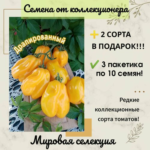 ���������� ����� �������������, ������� ��������, ����� ��� ����������, ������������� ����