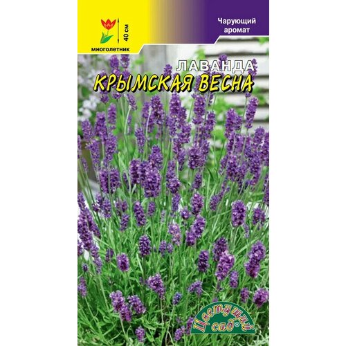 ���������� ������� �������� ����� (������ �������� ���), 0,1 �