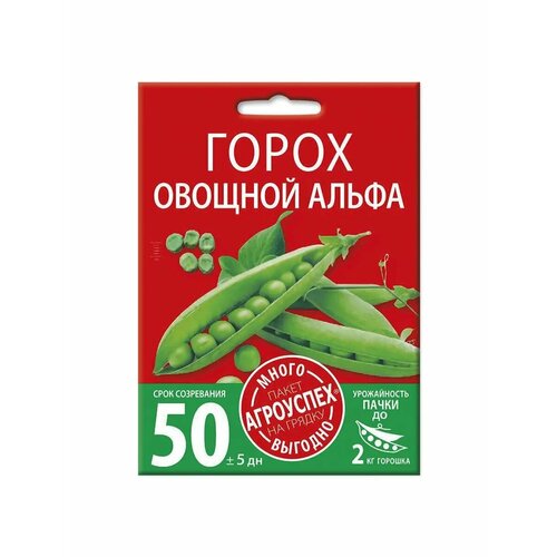 ���������� ������ ������ ������� ����� 40��