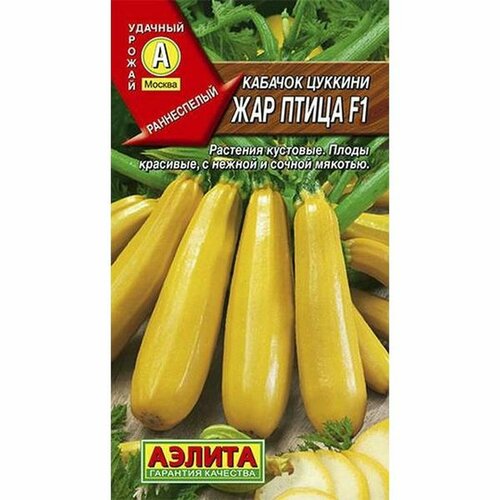 ���������� ������ ������� ��� ����� ������� F1 (������) 5��