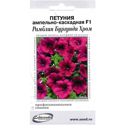 ���������� ������� ��������-��������� F1 ������� �������� ����, 5 �����