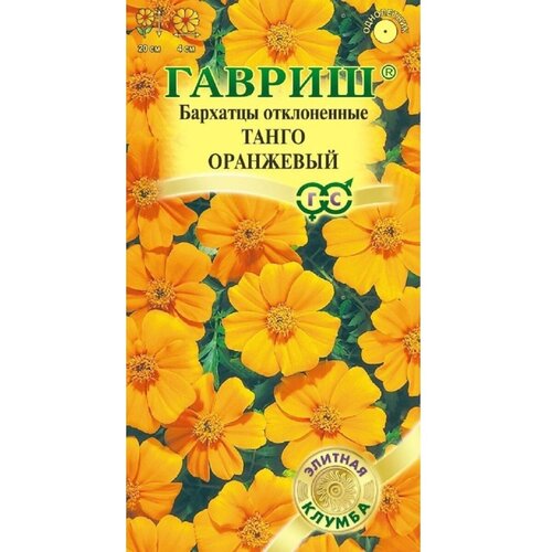 ���������� ������ �������� ������ ����� ��������� ������ (10��.)