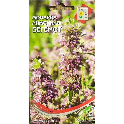 ���������� ������ ��� ����� ������� �������� �������