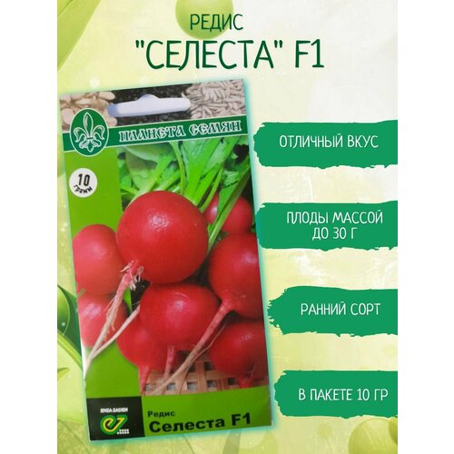 ���������� ������ ����� ������� 10 �����. ���������� ��������