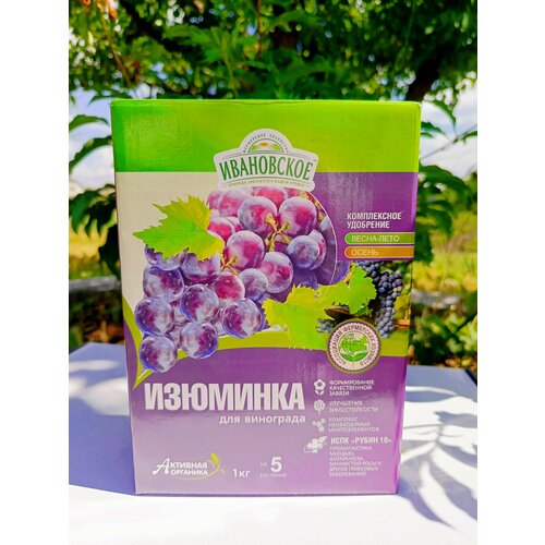 ���������� ��������� 