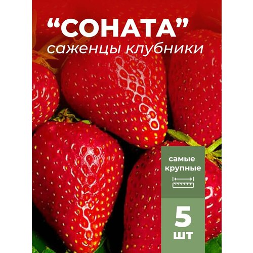 ���������� �������� ����� ������������� ������ �������/��������� �������� 5 ��