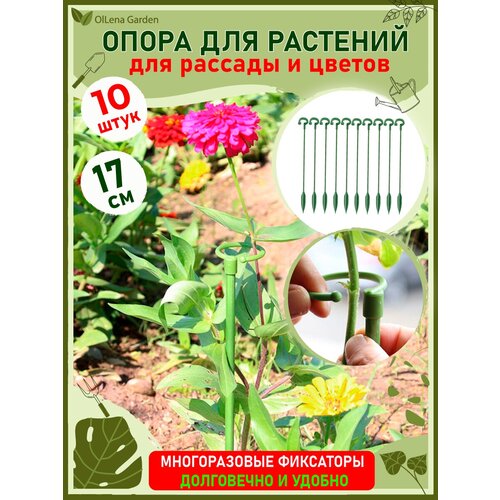 ���������� OlLena Garden / ����� ��� �������� � ������� � ������������, ����� ����������� �������� � �������, 17�� / 10 ��.