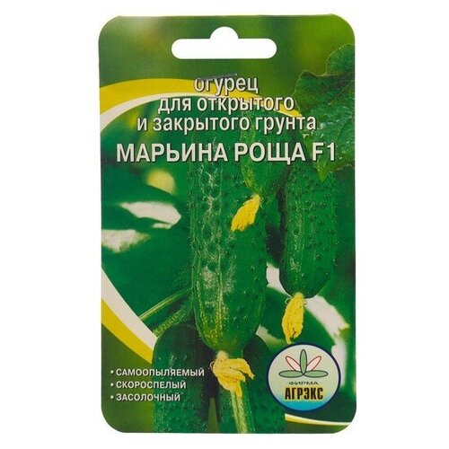 ���������� ������ ����� 