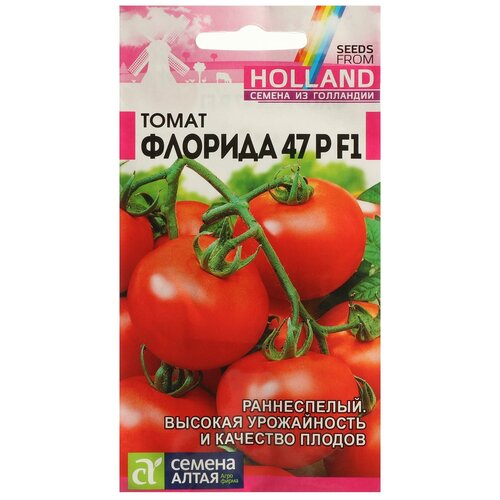 ���������� ������ ����� 