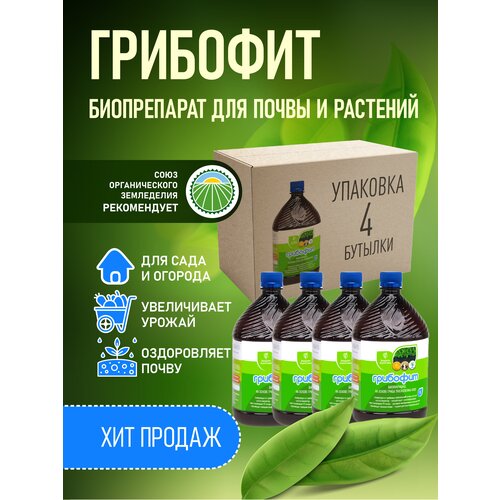 ���������� ����������� ���������� ������, Trichoderma viride �� ��������� �����������, ��������� 