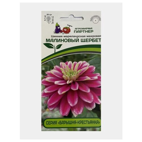 ���������� ������ ������ ������������ �������� 