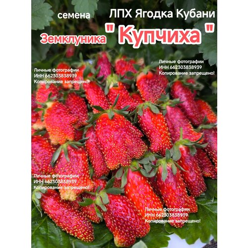 ���������� ������ ���������� 