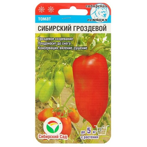 ���������� ������ ����� ��������� ��������� 20�� ��� ������ (��������� ���)