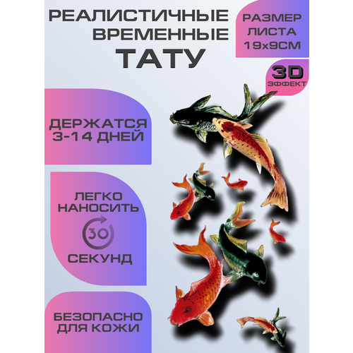 ���������� ���� ���������� ��������������, ��������� 3D ����