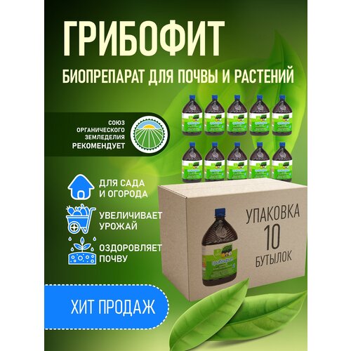���������� ����������� ���������� ������, Trichoderma viride �� ��������� �����������, ��������� 