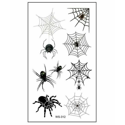 ���������� ���������� ���� ��������� ����� ��������