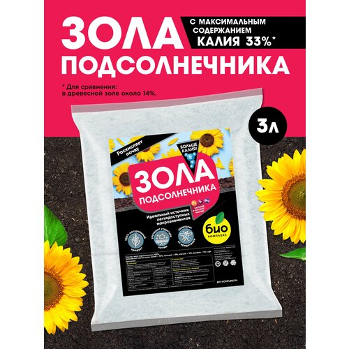 ���������� ���-�������� / ������������ �������� ��������� ���� ������������� 3�