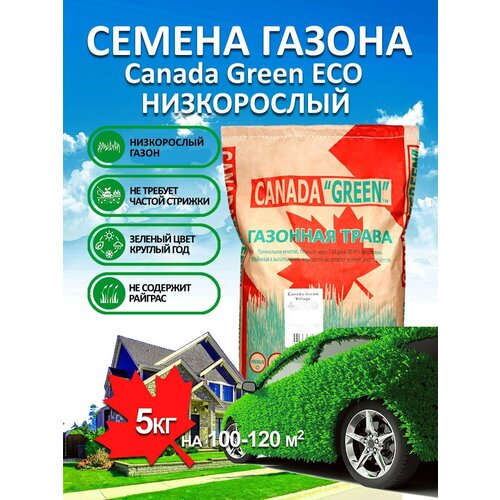 ���������� �������� ����� ������ ������ ���� ����������� ECO 5 ��/ ������, �������� ������ ��� ������