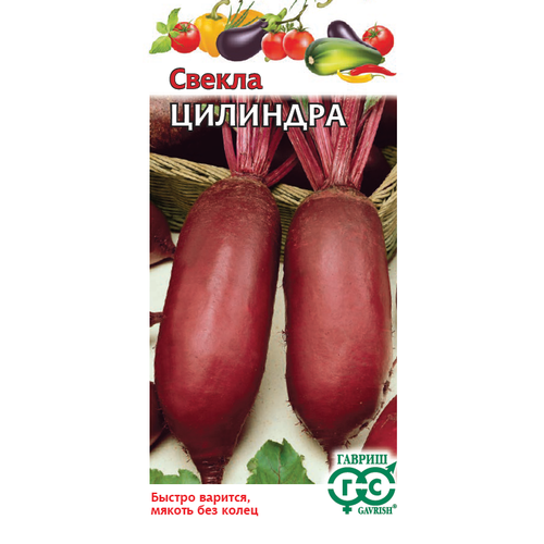 ���������� ������ ������ �������� 3� �������������� (������)