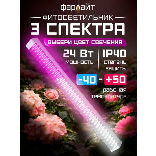 ���������� ��������� ��� �������� 3 �������, ������������ �����, �������� 24 ����